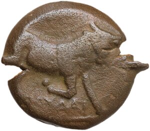 obverse: Northern Apulia, Arpi. AE 19.5 mm, c. 275-250 BC