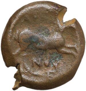 reverse: Northern Apulia, Arpi. AE 19.5 mm, c. 275-250 BC