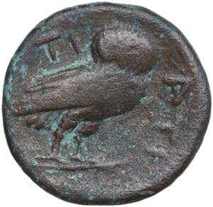 reverse: Northern Apulia, Teate. AE 21mm, c. 275-225 BC