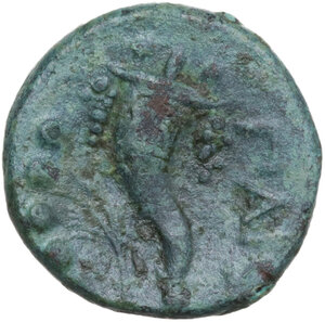 reverse: Northern Lucania, Poseidonia-Paestum. AE Triens, c. 264-241 BC