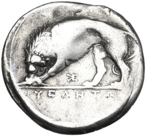 reverse: Northern Lucania, Velia. AR Didrachm, period VI, Kleudoros Group, c. 334-300 BC