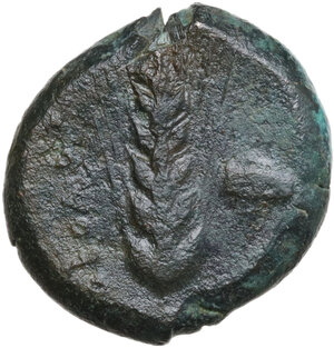 reverse: Southern Lucania, Metapontum. AE Obol, 425-350 BC