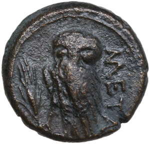 reverse: Southern Lucania, Metapontum. AE 15 mm, 250-207 BC