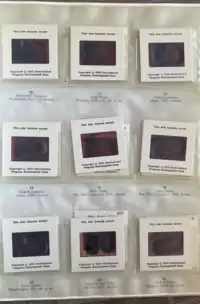 Reverse image