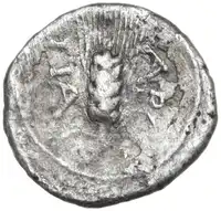 Reverse image