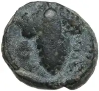 Reverse image