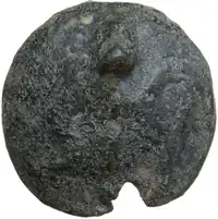 Reverse image