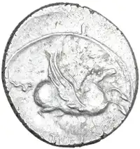 Reverse image