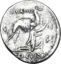 lot 480