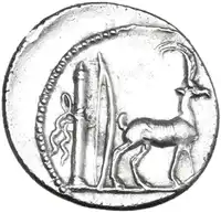 Reverse image