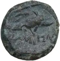 Reverse image