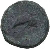 Reverse image