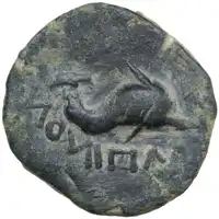 Reverse image