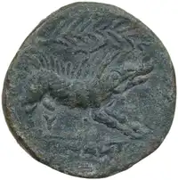 Reverse image