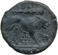 Reverse image