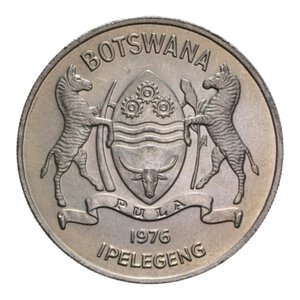 reverse: BOTSWANA THEBE 1981 FAO NI. 11,15 GR. qFDC