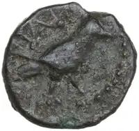lot 144