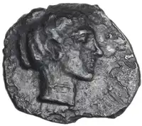 lot 154