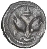 Reverse image