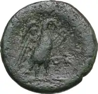 Reverse image