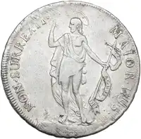 Reverse image