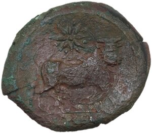 reverse: Samnium, Southern Latium and Northern Campania, Cales. AE 21 mm, c. 265-240 BC