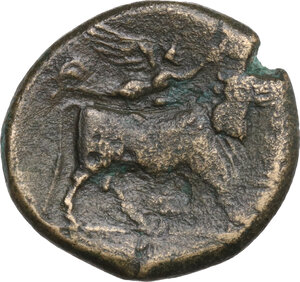 reverse: Samnium, Southern Latium and Northern Campania, Teanum Sidicinum. AE 19.5 mm. c. 265-240 BC