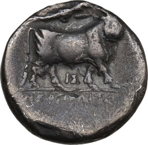 reverse: Central and Southern Campania, Neapolis. AR Drachm, c. 275-250 BC
