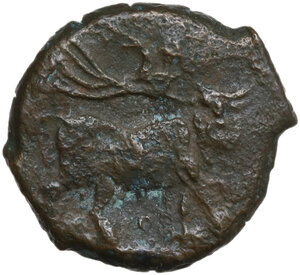 reverse: Central and Southern Campania, Neapolis. AE 19 mm. c. 275-250 BC. Coeval counterfeit?