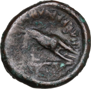 reverse: Central and Southern Campania, Nuceria Alfaterna. AE 17 mm. 250-225 BC