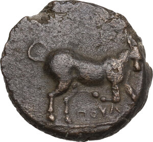 obverse: Northern Apulia, Arpi. AE 18.5 mm. c. 275-250 BC