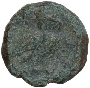 reverse: Northern Apulia, Teate. AE Semuncia, c. 225-200 BC