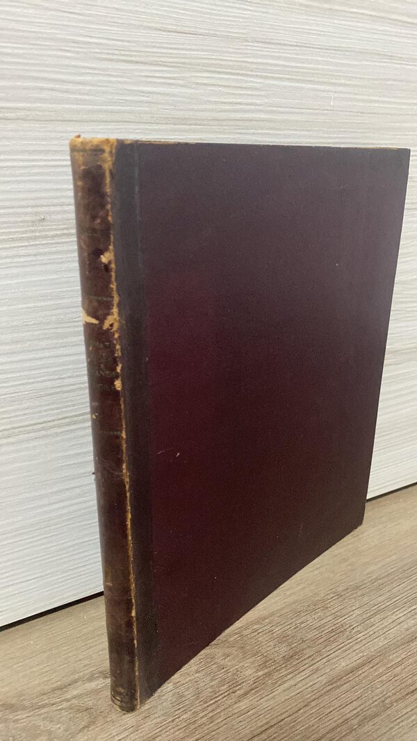 Immagine aggiuntiva 2