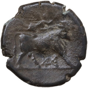 reverse: Samnium, Southern Latium and Northern Campania, Teanum Sidicinum. AE 20 mm, 265-240 BC