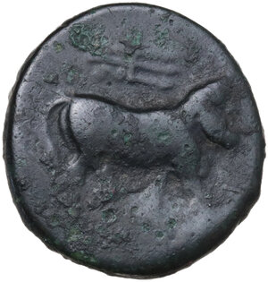 reverse: Central and Southern Campania, Neapolis. AE 17 mm, 300-275 BC