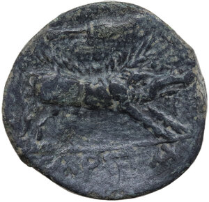 reverse: Northern Apulia, Arpi. AE 19 mm, 325-275 BC
