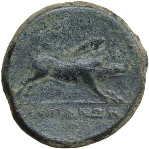 reverse: Northern Apulia, Arpi. AE 22 mm, 325-275 BC