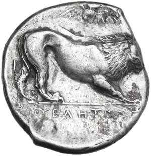 reverse: Northern Lucania, Velia. AR Nomos, c. 400-340 BC