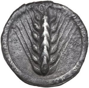 obverse: Southern Lucania, Metapontum. AR Stater, 510-470 BC