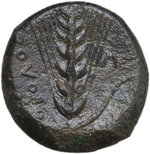 reverse: Southern Lucania, Metapontum. AE Obol, c. 440-430 BC