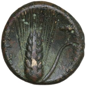 reverse: Southern Lucania, Metapontum. AE 14 mm, c. 300-250