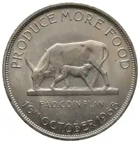 img-0