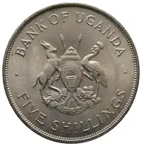 img-1
