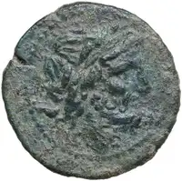 lot 355
