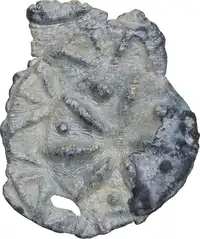 Reverse image