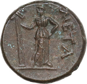 reverse: Southern Lucania, Metapontum. AE 16.5 mm, late 3rd century BC