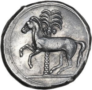 reverse: Entella.  Punic issues.. AR Tetradrachm, c. 320/15-300 BC