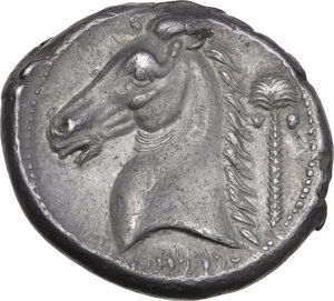 reverse: Entella.  Punic issues.. AR Tetradrachm, c. 300-289 BC