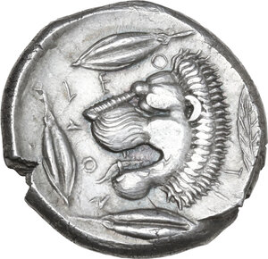 reverse: Leontini. AR Tetradrachm, c. 430-425 BC. From a reverse die signed by the 