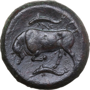 reverse: Syracuse.  Agathokles  (317-289 BC).. AE Hemilitron, c. 317-310 BC